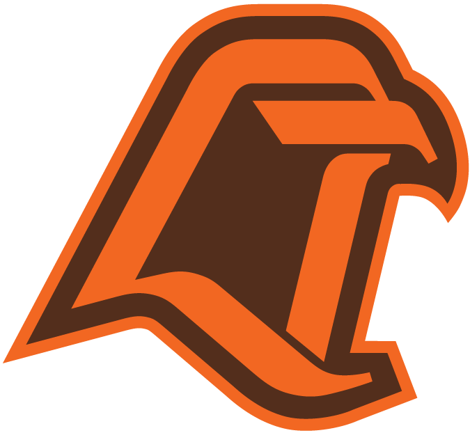 Bowling Green Falcons 1980-1989 Alternate Logo diy iron on heat transfer